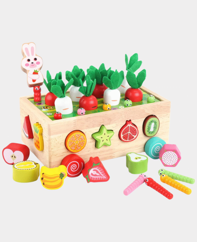 Toddlers Montessori Wooden Educational Toys